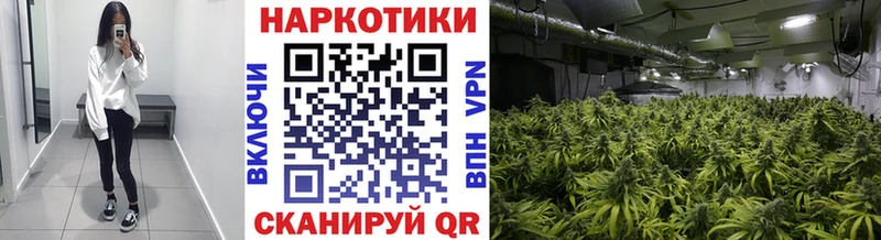 Купить наркотики сайты Шуя COCAIN  A PVP  omg рабочий сайт  Гашиш  Марихуана 